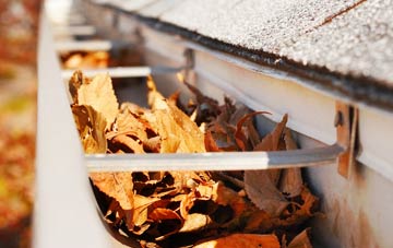 Merley gutter cleaning companies