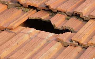 roof repair Merley, Dorset